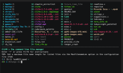 Clifm-Terminal-File-Manager.png