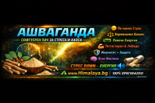 🌿 Ашваганда – софтуерен пач за претоварения човек1.png 🌿 Ашваганда – софтуерен пач за претоварения човек1.png